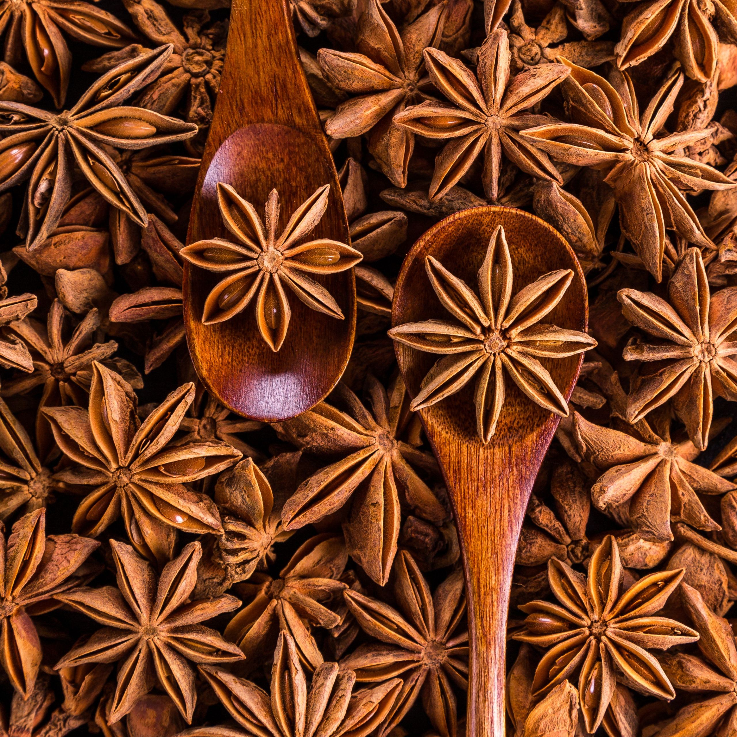Anyż gwiaździsty gwiazdki Mapo Tea 100g